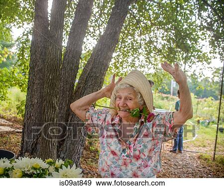 Senior woman with flower in mouth dancing on farm View Large Photo Image Stock Photo - Senior woman with flower in mouth dancing on farm. Fotosearch