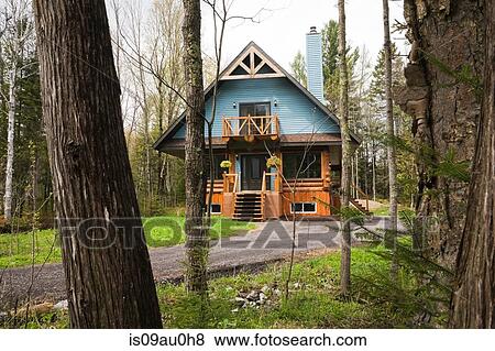 View through trees of log cabin with blue clapboard View Large Photo Image Stock Photo - View through trees of log cabin with blue clapboard. Fotosearch