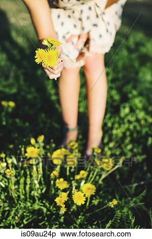 Stock Photography - Waist down of young woman bending over picking bunch of dandelion flowers, differential focus. Fotosearch