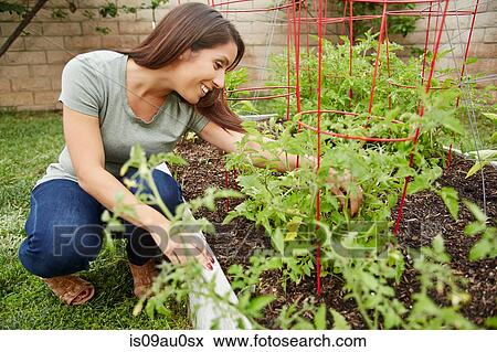 Stock Photo - Woman working in garden bed. Fotosearch