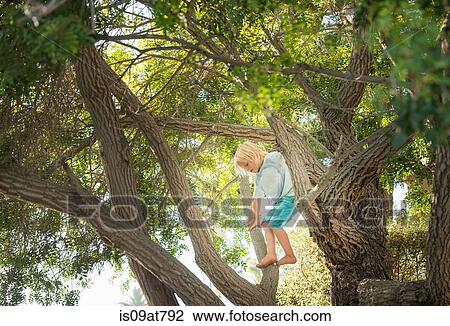 Stock Image - Young boy climbing tree. Fotosearch