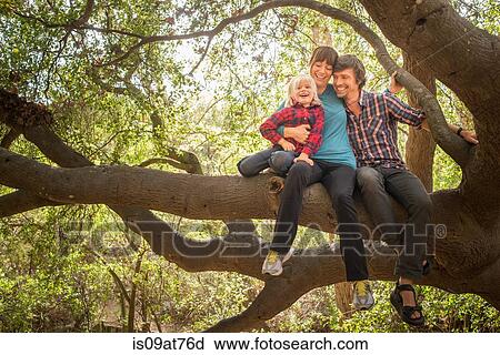 Young boy, mother and father, sitting in tree View Large Photo Image Stock Image - Young boy, mother and father, sitting in tree. Fotosearch