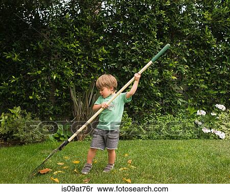 Young boy raking leaves in garden View Large Photo Image Stock Photography - Young boy raking leaves in garden. Fotosearch