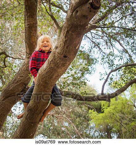 Stock Photo - Young boy sitting in tree, low angle view. Fotosearch