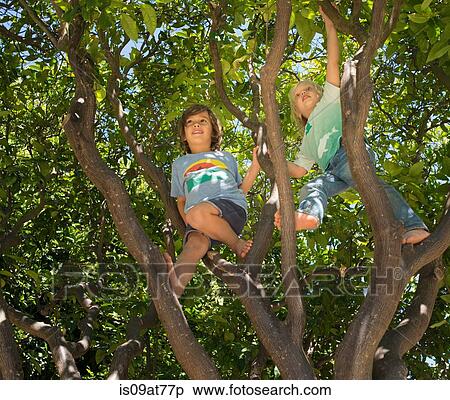 Young boy sitting in tree, low angle view View Large Photo Image Stock Photography - Young boy sitting in tree, low angle view. Fotosearch