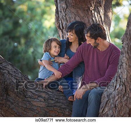 Young boy with mother and father, sitting in tree View Large Photo Image Stock Image - Young boy with mother and father, sitting in tree. Fotosearch