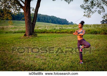 Young woman doing yoga tree pose in rural park View Large Photo Image Stock Photo - Young woman doing yoga tree pose in rural park. Fotosearch
