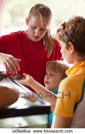 Young woman handing boy horseshoe crab to hold View Large Photo Image Stock Image - Young woman handing boy horseshoe crab to hold. Fotosearch