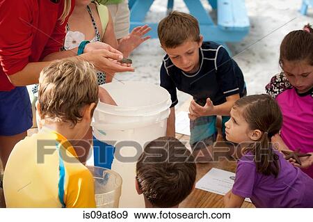 Young woman holding sea creature, showing children View Large Photo Image Stock Photo - Young woman holding sea creature, showing children. Fotosearch