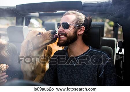 Dog licking young mans bearded face in jeep View Large Photo Image Picture - Dog licking young mans bearded face in jeep. Fotosearch