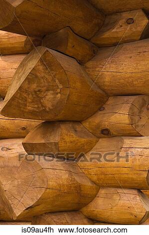 Full frame close up, corner of Eastern white pine log cabin View Large Photo Image Stock Image - Full frame close up, corner of Eastern white pine log cabin. Fotosearch