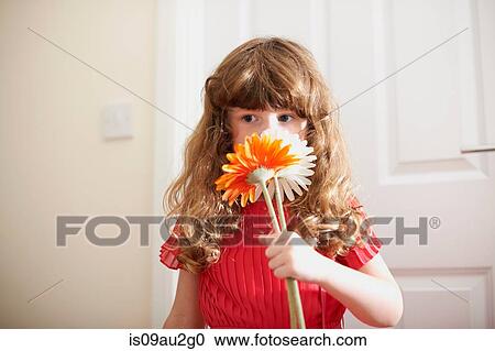 Portrait of cute girl smelling cut flowers View Large Photo Image Stock Image - Portrait of cute girl smelling cut flowers. Fotosearch
