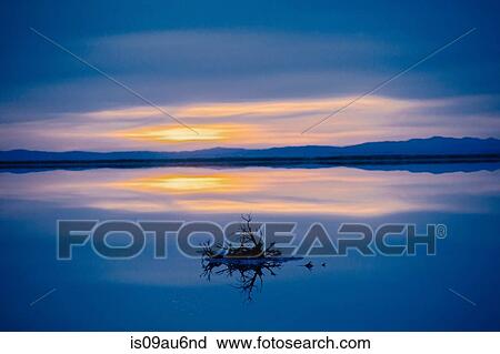 Reflection pool of horizon over water, blue evening sky and sunset, Bonneville, Utah, USA View Large Photo Image Stock Image - Reflection pool of horizon over water, blue evening sky and sunset, Bonneville, Utah, USA. Fotosearch