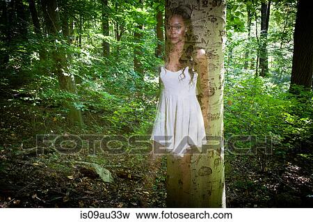 Semi transparent portrait of young woman leaning against forest tree View Large Photo Image Stock Photo - Semi transparent portrait of young woman leaning against forest tree. Fotosearch
