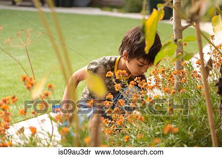 View through plants of boy crouched in garden holding spade looking down View Large Photo Image Stock Photography - View through plants of boy crouched in garden holding spade looking down. Fotosearch