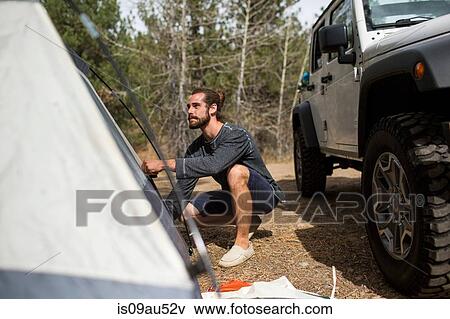Young man erecting tent in forest, Lake Tahoe, Nevada, USA View Large Photo Image Stock Photo - Young man erecting tent in forest, Lake Tahoe, Nevada, USA. Fotosearch