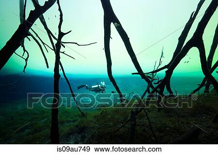 A cave diver suspended between the bottom a thick halocline at Cenote Carwash, Tulum, Mexico View Large Photo Image Stock Photo - A cave diver suspended between the bottom a thick halocline at Cenote Carwash, Tulum, Mexico. Fotosearch