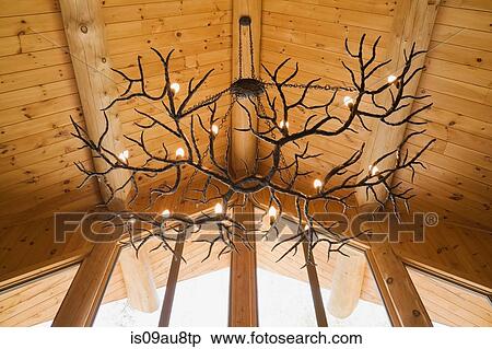 Antler chandelier hanging from Eastern white pine vaulted ceiling in log cabin View Large Photo Image Stock Photography - Antler chandelier hanging from Eastern white pine vaulted ceiling in log cabin. Fotosearch
