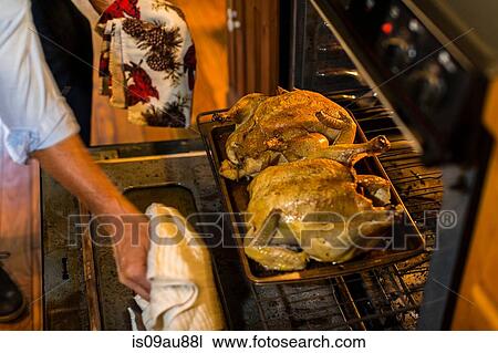 Cropped shot of mature man removing roast chicken from oven View Large Photo Image Stock Image - Cropped shot of mature man removing roast chicken from oven. Fotosearch