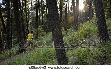 Female runner running up forest path View Large Photo Image Stock Image - Female runner running up forest path. Fotosearch