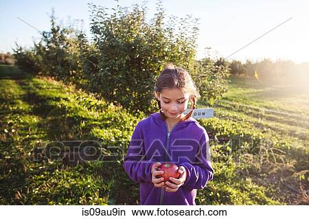 Picture - Girl in orchard holding apple looking down smiling. Fotosearch