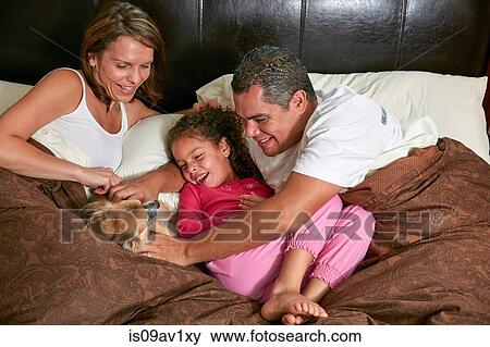 Stock Photo - High angle view of girl in bed with parents stroking dog smiling. Fotosearch