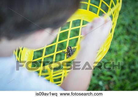 High level over shoulder view of boy holding toad in yellow plastic basket View Large Photo Image Stock Photography - High level over shoulder view of boy holding toad in yellow plastic basket. Fotosearch
