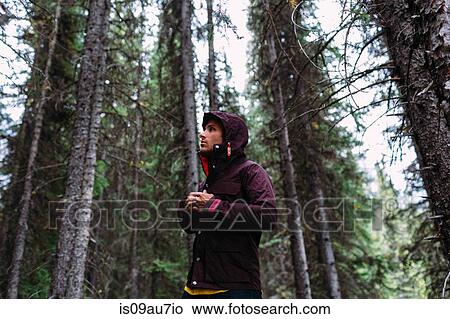 Low angle view of mid adult man in forest fastening waterproof coat, looking away, Moraine lake, Banff National Park, Alberta Canada View Large Photo Image Picture - Low angle view of mid adult man in forest fastening waterproof coat, looking away, Moraine lake, Banff National Park, Alberta Canada. Fotosearch