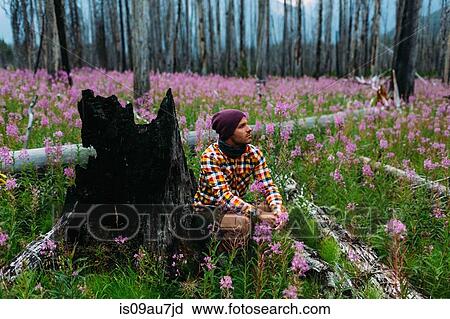 Stock Image - Mid adult man sitting by burnt stree stump in field of wildflowers looking away, Moraine lake, Banff National Park, Alberta Canada. Fotosearch