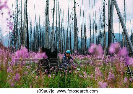 Mid adult woman sitting by burnt tree stump in field of wildflowers looking away smiling, Moraine lake, Banff National Park, Alberta Canada View Large Photo Image Stock Image - Mid adult woman sitting by burnt tree stump in field of wildflowers looking away smiling, Moraine lake, Banff National Park, Alberta Canada. Fotosearch