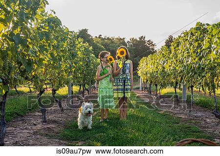Stock Photo - Portrait of two young girls holding sunflowers in front of faces. Fotosearch
