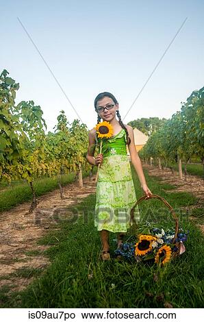Picture - Portrait of young girl holding sunflower and basket of flowers. Fotosearch