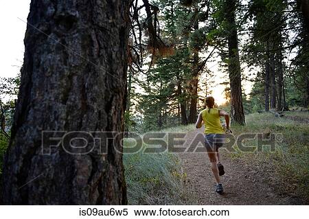 Rear view of female runner running up forest path View Large Photo Image Stock Photography - Rear view of female runner running up forest path. Fotosearch