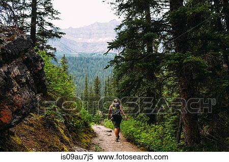 Rear view of mid adult woman trekking on forest trail in mountains, Moraine lake, Banff National Park, Alberta Canada View Large Photo Image Stock Photography - Rear view of mid adult woman trekking on forest trail in mountains, Moraine lake, Banff National Park, Alberta Canada. Fotosearch