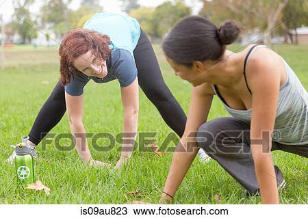 Young women wearing sports clothing on grass face to face bending over stretching View Large Photo Image Stock Image - Young women wearing sports clothing on grass face to face bending over stretching. Fotosearch