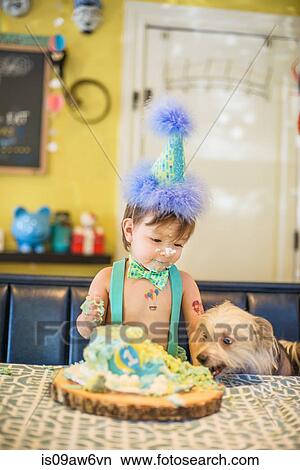 Picture - Baby boy and pet dog staring at messy birthday cake on table. Fotosearch