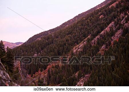 Big Cottonwood Canyon, Utah, USA View Large Photo Image Picture - Big Cottonwood Canyon, Utah, USA. Fotosearch