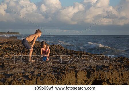 Stock Image - Boy and sister playing with toy bucket on beach, Blowing Rocks Preserve, Jupiter Island, Florida, USA. Fotosearch