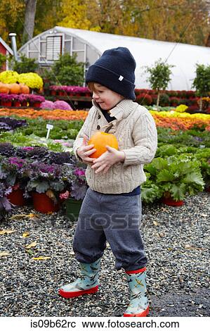 Boy carrying pumpkin in garden centre View Large Photo Image Stock Image - Boy carrying pumpkin in garden centre. Fotosearch