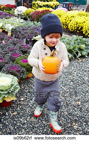 Boy carrying pumpkin in garden centre View Large Photo Image Stock Image - Boy carrying pumpkin in garden centre. Fotosearch