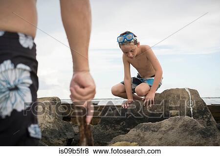 Boy rock pooling, Gulf of Mexico, Emerald Coast, Florida, USA View Large Photo Image Stock Photo - Boy rock pooling, Gulf of Mexico, Emerald Coast, Florida, USA. Fotosearch
