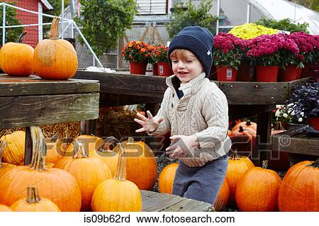 Boy selecting pumpkin in garden centre View Large Photo Image Stock Image - Boy selecting pumpkin in garden centre. Fotosearch