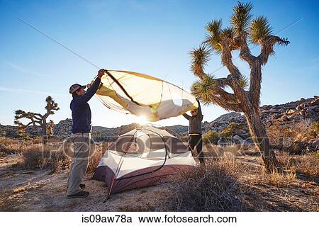 Campers assembling tent, Joshua Tree National Park, California View Large Photo Image Stock Image - Campers assembling tent, Joshua Tree National Park, California. Fotosearch
