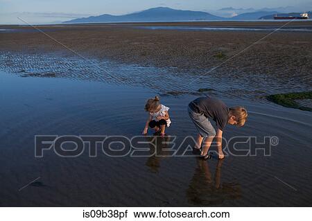 Stock Image - Children picking up seashells on beach, Vancouver, British Columbia, Canada. Fotosearch