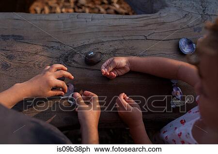 Children playing with seashells on log View Large Photo Image Stock Image - Children playing with seashells on log. Fotosearch