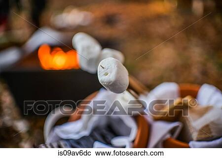 Close up of marshmallow sticks by forest campfire at dusk View Large Photo Image Stock Image - Close up of marshmallow sticks by forest campfire at dusk. Fotosearch