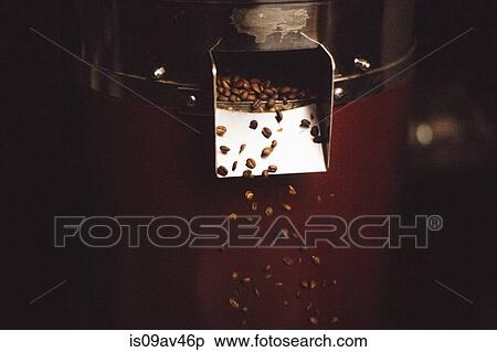 Coffee beans flowing from coffee roaster View Large Photo Image Stock Photography - Coffee beans flowing from coffee roaster. Fotosearch