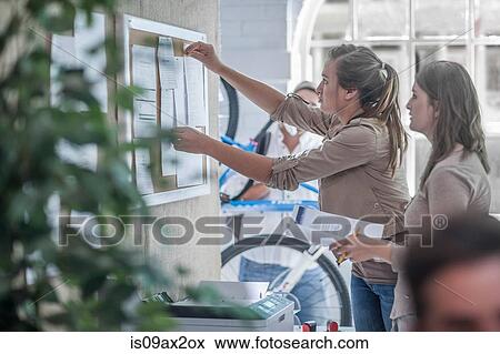 Stock Photo - Colleagues putting up notice on board in office. Fotosearch