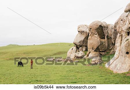 Cow grazing beside tourist photographing rock, Dillon Beach, California, US View Large Photo Image Picture - Cow grazing beside tourist photographing rock, Dillon Beach, California, US. Fotosearch