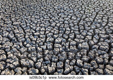 Cracked mud, Ceara, Brazil View Large Photo Image Stock Photography - Cracked mud, Ceara, Brazil. Fotosearch